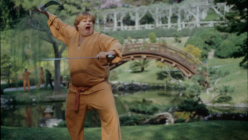 Beverly Hills Ninja