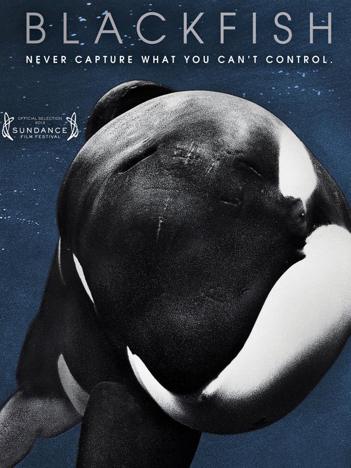 Blackfish