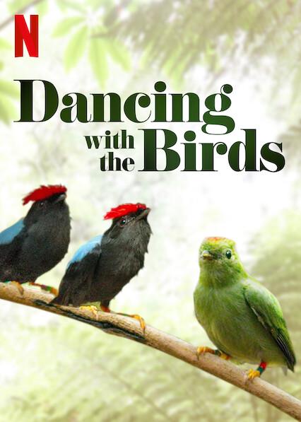 Dancing with the Birds