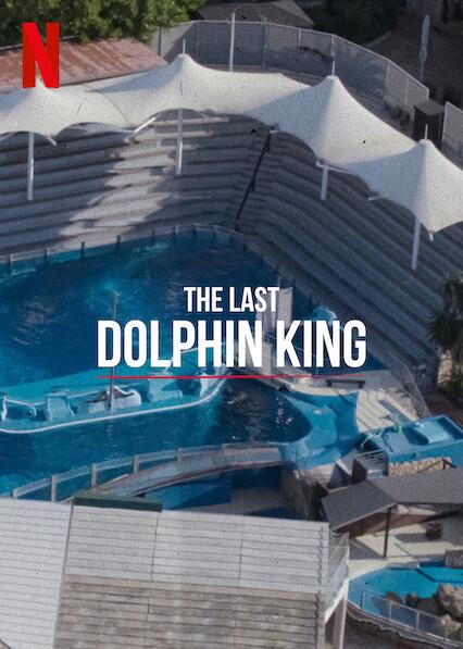 The Last Dolphin King