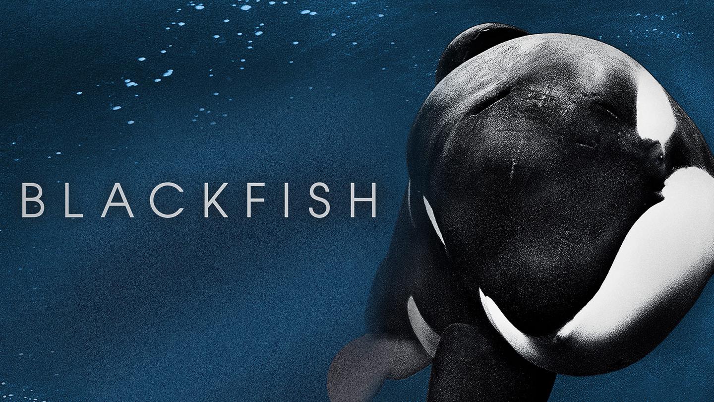 Blackfish