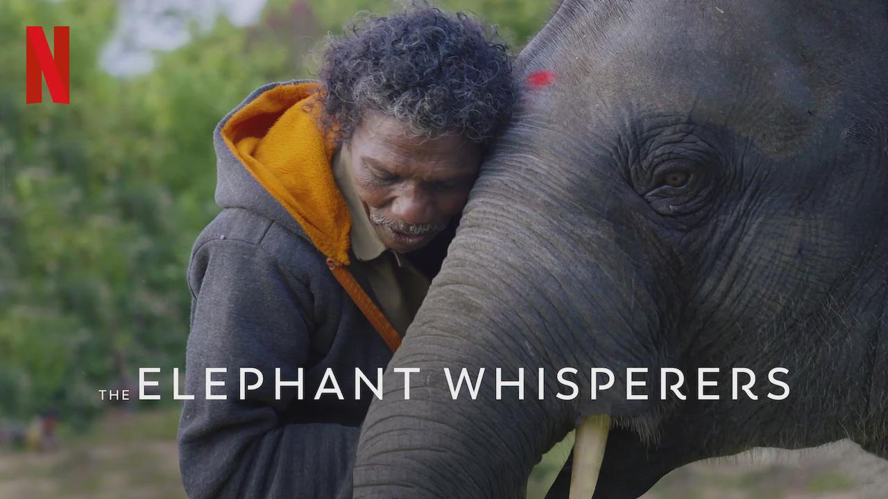 The Elephant Whisperers