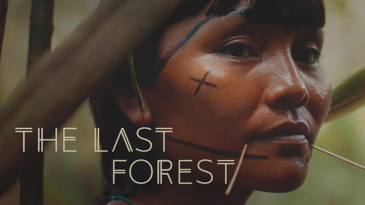 The Last Forest